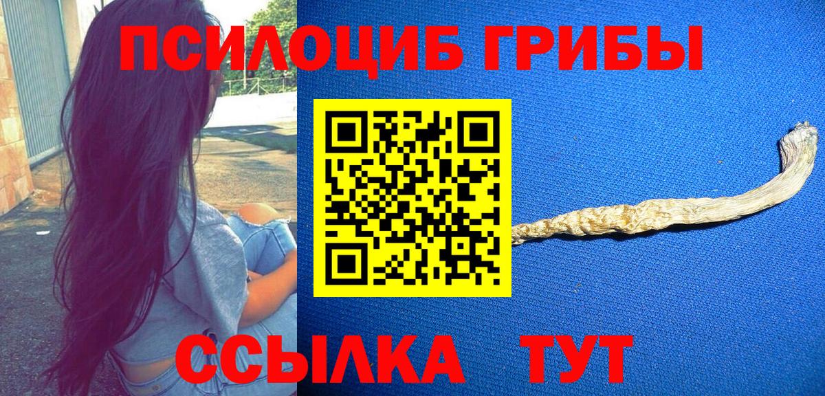 Астрахань  Галлюциногенные грибы Psilocybe  Вход с VPN  Псилоцибиновые грибы GOLDEN TEACHER 